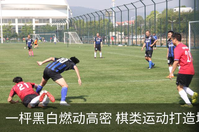 一枰黑白燃动高密 棋类运动打造城市新名片