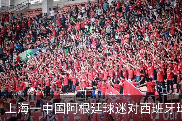 上海一中国阿根廷球迷对西班牙球迷种族歧视，之后被警方带走