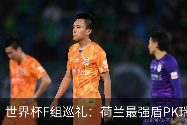 世界杯F组巡礼：荷兰最强盾PK瑞典犀利刀 日本短板明显