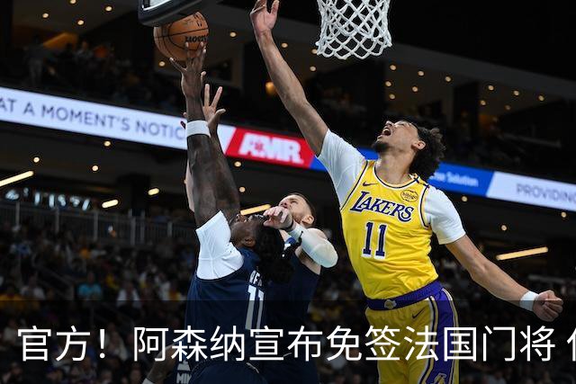 官方！阿森纳宣布免签法国门将 伊兰-梅利耶加盟披30号