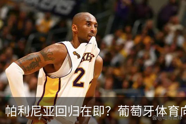 帕利尼亚回归在即？葡萄牙体育向其许诺队长袖标的背后故事