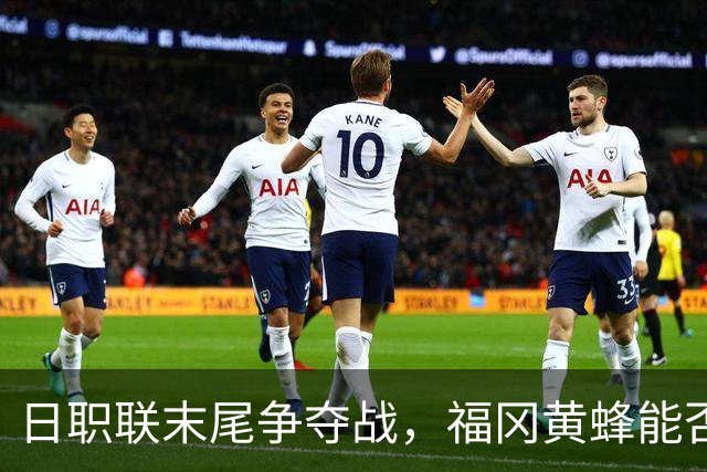 日职联末尾争夺战，福冈黄蜂能否在主场力克千叶市原？