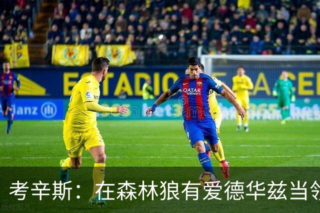 考辛斯：在森林狼有爱德华兹当领袖 三球能得到成长并且更成熟