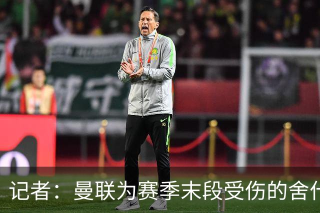 记者：曼联为赛季末段受伤的舍什科定制训练方案，正逐步恢复体能